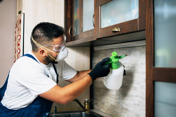 Trusted Henryville, IN Pest Control Experts