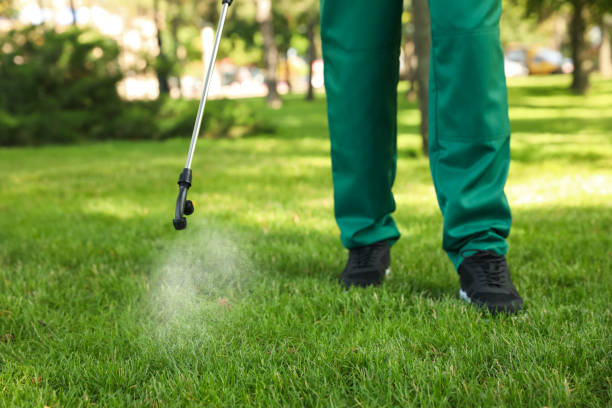 Trusted Henryville, IN Pest Control Experts