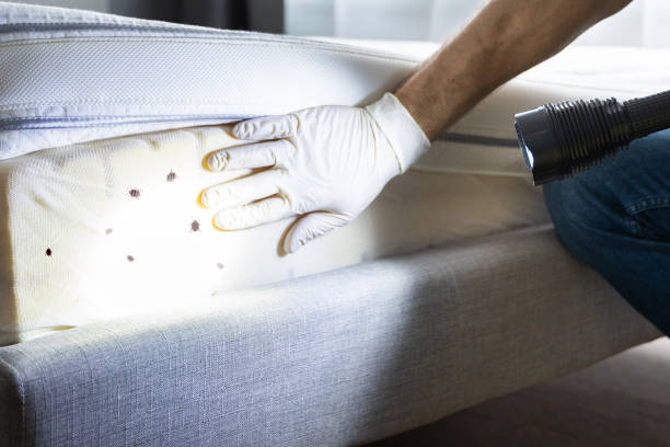 Best Pest Removal Services  in Henryville, IN