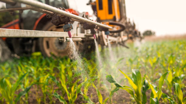 Best Pest Control for Businesses  in Henryville, IN